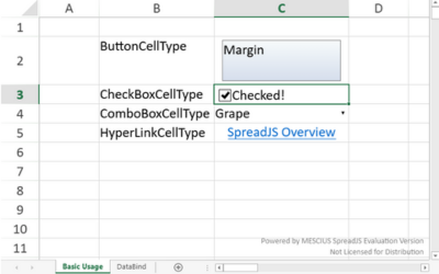 Angular Spreadsheet Cell Types